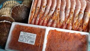 【在庫なくなり次第終了】赤字覚悟のアメリカ産鮭イクラ250g×2 赤エビ2kg生冷凍ホタテ1.5k セット