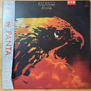 国内盤　プロモ　見本盤　Panta Salvage = 浚渫　VIH-28141　ライナー、帯付き（帯破れ）