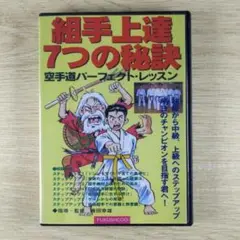 DVD 組み手上達7つの秘訣 空手道パーフェクト・レッスン