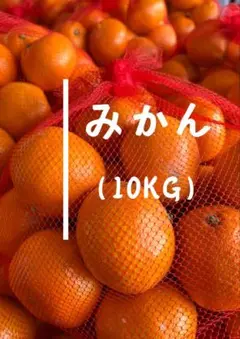 甘さたっぷり『みかん10kg』大きめ ミカン 果物 贈答用 送料無料