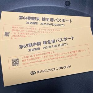 【送料無料】東京ディズニーリゾート 株主優待券 １デーパスポート ２枚 2025年6月30日と2026年1月31日までの2枚セット