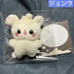 ジョンウ　ぬいぐるみ　10cm 新品　マスター　nct