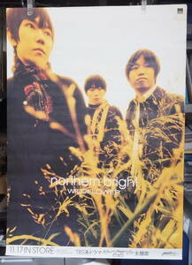 northern bright - WILDFLOWER /ポスター!!