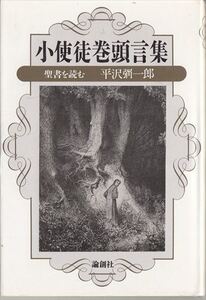 小使徒巻頭言集―聖書を読む 平沢弥一郎 論創社