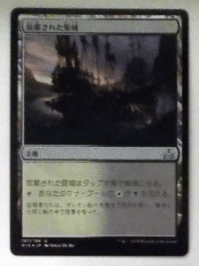 ＭTG日本語/foil/放棄された聖域/イクサランの相克/アンコモン