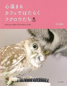 心温まるカフェではたらくフクロウたち