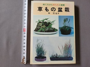 昭和60年再版 育て方から手入れと鑑賞　草もの盆栽　林哲也・著　金園社　/D