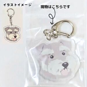 アニマルアクリルキーホルダー 片面印刷 犬柄 ミニチュアシュナウザー 新品 送料無料