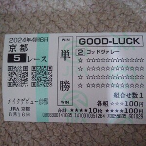 ★ソフトバンク　柳田選手所有馬★　ゴッドヴァレー　メイクデビュー　現地クイックピック馬券　2024/6/16