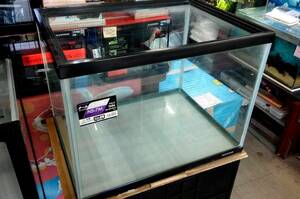 OASISAQUA店舗使用NISSO　7M　60x45cm水槽　美品その2