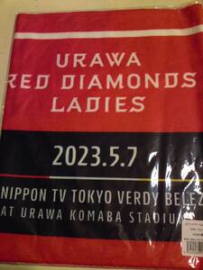 浦和レッズレディース #19 塩越柚歩 #17遠藤ゆう 未開封新品 マッチデータオル