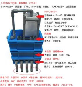 沈殿槽　タワーフィルター付き 排水口 ５個口 サンドフィルター　３S　3段濾過槽　５　濾過砂　濾過ウール　ホース　水中ポンプ付き　