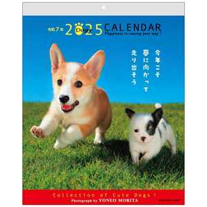 2025 Calendar 森田米雄 メッセージカレンダーDOG 壁掛けカレンダー2025年 いぬ スケジュール 動物写真 書き込