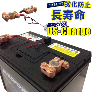 バッテリー自動再生 小型パルス ホワイト 2個セット DS Charger DSパルス 乗用車 大型用 宮崎県ものづくり大賞 SEKIYA