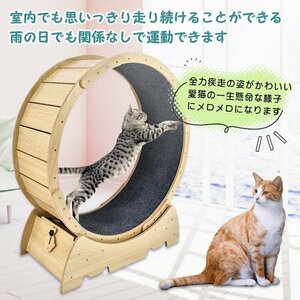 猫 トレッドミル キャット ホイール 安い ローラー ルームランナー 回し車 観覧車 安全 エクササイズ おもちゃ ランニング ペット pt071