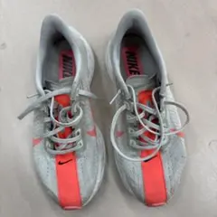 ナイキ　NIKE　ペガサスプラス25.0