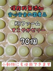 KBファーム すこやかゼリー 国産ゼリー16g 70個 カブトムシ クワガタ 昆虫