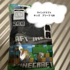 マインクラフト子供ブリーフ