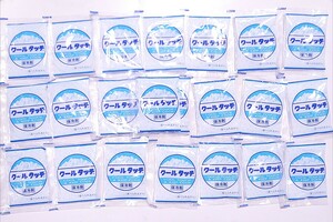 ダイアックス 保冷剤 クールタッチ 30g 22個セット