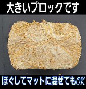 特大3500cc☆キクラゲ菌床ブロック☆クワガタの産卵床に！カブトムシ幼虫の栄養強化に抜群！クヌギ100％原料☆菌糸がしっかり回ってます！