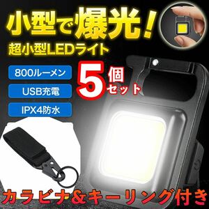 LED 投光器 ミニライト 小型 作業灯 5個セット 照明 懐中電灯 防水 万能カラビナキーホルダーセット 災害対策