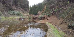 【復興米】コシヒカリ玄米１０kg② 石川県輪島産 ５年産 農家直送 遠赤外線乾燥 無農薬栽培 世界農業遺産 紙袋で発送