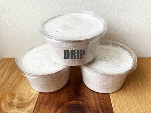 【DRIP】　能勢YGオオクワガタ　幼虫　初・2令 3頭