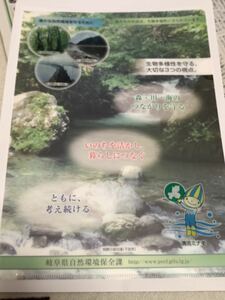 清流ミナモ　岐阜県自然環境保全課　A4 クリアファイル　非売品