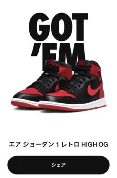 Nike Air Jordan 1 Satin Bred W28.5cm サテン