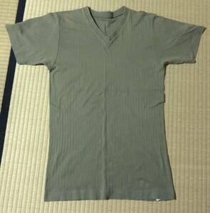 平成初期！TAKEO KIKUCHI、Vネックくすんだ草色の半袖Tシャツ、サイズL細身Mサイズに、