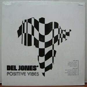 HIKEKA 新品LP 即決 DEL JONES POSITIVE VIBES