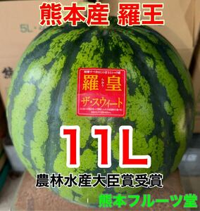 感動サイズ超特大！熊本産【羅皇】秀品11Lサイズ（1玉16〜17kg）熊本フルーツ堂51