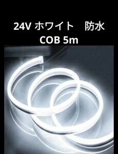 ☆ＬＥＤテープライト　24V 5m COB 防水　ホワイト　トラックなどに！☆ テープライト LED COB 面発光 色ムラなし　在庫あり！