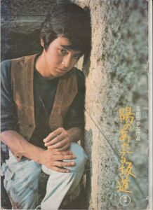 パンフ■1975年【陽のあたる坂道/はつ恋】[ B ランク ] 併映用/吉松安弘 石坂洋次郎 三浦友和 檀ふみ 浅田美代子 池部良