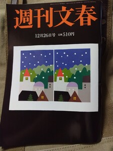 週刊文春 2024年12月26日号 送料￥95～ 観月ありさ マイナ保険証25の不安 マイナ保険証9千億利権 三菱UFJ査定 須藤早貴AV 船井電機社長悔恨