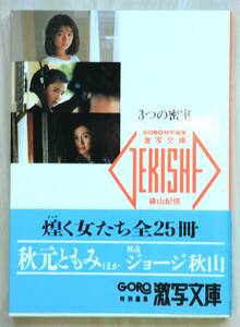 小学館 GORO特別編集 激写文庫 13 3つの密室 秋元ともみ 篁友紀子 杉田かおり 篠山紀信 帯付き