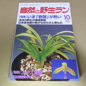 ＹＮ1-240911☆自然と野生ラン 2002年10月号 ※ 春蘭 エビネ セッコク ※ 園芸JAPAN
