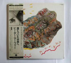 帯つき国内盤中古LP☆ピーター・マーフィー(PETER MURPHY)「凍てついた世界へ」大貫憲章　解説/英詞・対訳つき☆バウ・ハウス関連