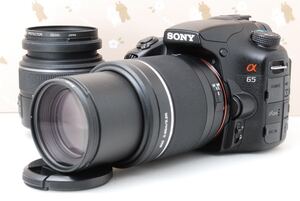 美品★運動会や旅行に★SONY α65★ダブルズーム★自撮り&スマホ転送OK★高性能デジタル一眼レフカメラ