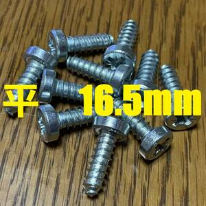 スキービンディング専用ネジ　5.5×16.5mm　ポジドライブ　10本　追加可能 【auction by polvere_di_neve】PZ3 ロングビス ボルト リフター