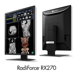 2024年製 EIZO RadiForce RX270