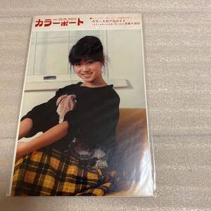 □中森明菜 カラーポート 大判プロマイド当時物 新品未開封品