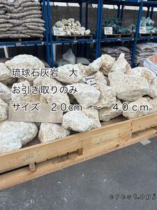 【琉球石灰岩　大】　量り売り お引き取りのみ ＊御影石・タイル・大理石・砂利・石・石材・庭石・ロックガーデンなど＊