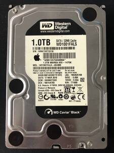 【送料無料】 WD1001FALS - 40U9B0 【Western Digital】 【1TB】 【3.5インチHDD】 【SATA】