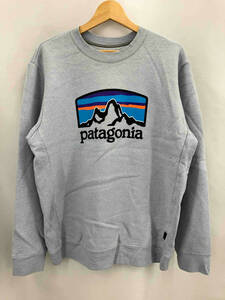 ★ Patagonia パタゴニア スウェット 長袖 トレーナー 裏起毛 サイズM ライトブルー 冬