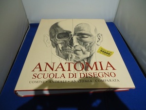 ★☆★ANATOMIA★SCUOLA　DI　DISEGNO★解剖学★本★図解★解剖★アナトミア★☆★