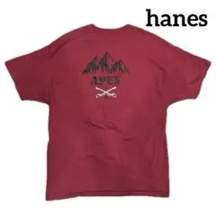 ヘインズ　hanes apexプリント　tシャツ