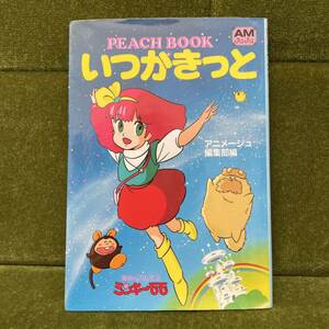 魔法のプリンセス ミンキーモモ PEACH BOOK いつかきっと【ゆうメール送料無料】