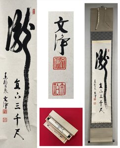 【千寿】東福寺 同聚院 西部文浄 瀧直下三千丈 自筆 一行書 紙本 d948◆在銘 箱 茶掛 掛軸 掛物 茶道具 同梱可 条件有 100027913　