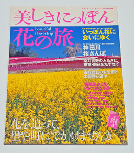 美しきにっぽん　花の旅　山と渓谷社　神田川桜散歩　一本桜